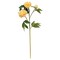 Set of 2 Decorative Peony Spray 30 Inch Peach Green Stem Artificial Flower Branch